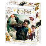 3D puzzle s motivem Harry Potter 300 dílků 