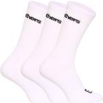 Pánské Ponožky Horsefeathers v bílé barvě ve velikosti S ve slevě 