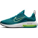 Běžecké boty Nike Air Zoom Arcadia 2 Big Kids Road Running Shoes dm8491-300