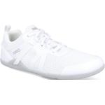 Dámské Sportovní tenisky Xero Shoes v bílé barvě z látky ve velikosti 38,5 prodyšné 