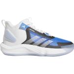 Pánské Basketbalové boty adidas Adizero v modré barvě z gumy ve slevě 