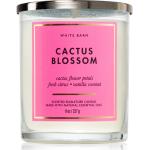 Aromatické svíčky Bath & Body Works s motivem kaktus 