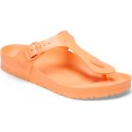 Dámské Žabky Birkenstock Gizeh Eva v oranžové barvě v moderním stylu ultralehké na léto udržitelná móda 