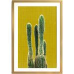 Cedule v hořčicové barvě s motivem kaktus 