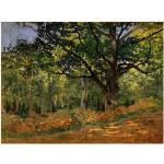 Bonami Reprodukce obrazu Claude Monet - The Bodmer