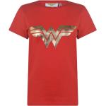 Dámská  Trička s kulatým výstřihem Character z bavlny ve velikosti 3 XL s kulatým výstřihem  strečová  s motivem Wonder Woman plus size 
