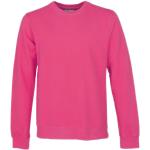 Pánská BIO  Jarní a podzimní móda Colorful Standard v růžové barvě z bavlny ve velikosti M  veganská ve slevě udržitelná móda 
