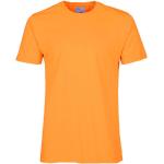 Pánská BIO  Trička s kulatým výstřihem Colorful Standard v oranžové barvě v moderním stylu z bavlny ve velikosti S s kulatým výstřihem  veganská ve slevě na léto udržitelná móda 