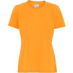 Dámská BIO  Trička s kulatým výstřihem Colorful Standard v oranžové barvě z bavlny ve velikosti S s kulatým výstřihem  veganská ve slevě na zimu udržitelná móda 