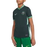 Dětské sportovní oblečení Nike v zelené barvě 