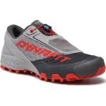 Pánské Běžecké boty Dynafit v šedé barvě 