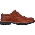 Giorgio Webster Mens Shoes Brown 9 (43)