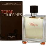 Hermes Terre D' Hermes - EDT 100 ml