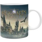 Hrnek Harry Potter: Hogwarts Legacy - Castle 320ml