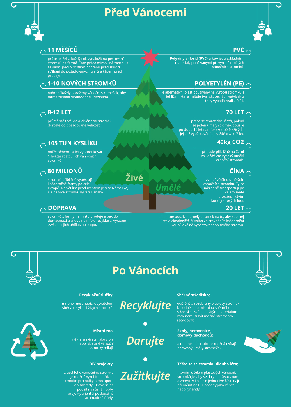 Život vánočních stromků - infografika