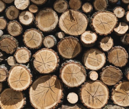 dřevo, dřevitá vůně