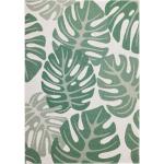 Moderní koberce v zelené barvě v moderním stylu z polypropylenu s motivem palmy 