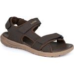 Pánské Kožené sandály Loap v hnědé barvě z koženky ve velikosti 44 na léto 