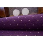 Moderní koberce ve fialové barvě v elegantním stylu z polyamidu 