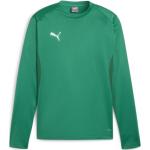 Pánské Sportovní mikiny Puma teamGOAL v zelené barvě ve velikosti S 