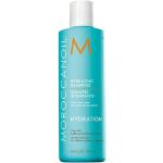 Šampóny Moroccanoil o objemu 250 ml hydratační netestovaná na zvířatech pro všechny typy vlasů s přísadou arganový olej 