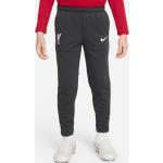 Dětské kalhoty Nike Dri-Fit v šedé barvě s motivem FC Liverpool 
