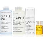 Dámské Šampóny Olaplex o objemu 250 ml hydratační s olejovou texturou pro poškozené vlasy 