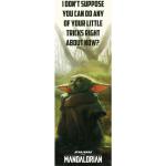 Plakát na dveře Star Wars: Mandalorian - Special Tricks