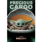 Plakát Star Wars: Mandalorian - Precious Cargo
