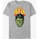 Pánská  Trička Queens v šedé barvě s motivem Hulk 
