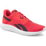 Pánské Běžecké boty Reebok Energen v červené barvě ve velikosti 41 