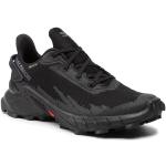 Dámské Krosové běžecké boty Salomon Alphacross v černé barvě Gore-texové ve velikosti 36 