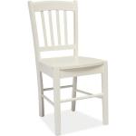 Designové židle Signal v bílé barvě v moderním stylu ze dřeva 