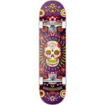 Skateboard Hydroponic Mexican 8.125 Purple Skull