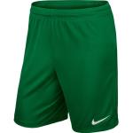 Pánské Kraťasy Nike Park v zelené barvě 
