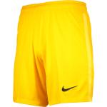 Pánské Kraťasy Nike Park v žluté barvě 