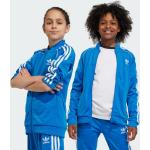 Dětské bundy adidas Adicolor v modré barvě sportovní ve velikosti 12 let 