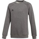 Sweatshirt adidas Core18 JR CV3969 116