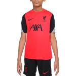 Dětská trička Nike Strike v červené barvě s motivem FC Liverpool 