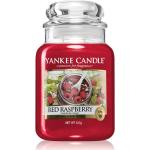 Yankee Candle Red Raspberry vonná svíčka Classic střední 623 g