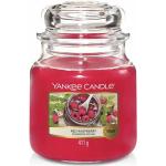 Yankee Candle Red Raspberry vonná svíčka classic střední Svíčka 411 g
